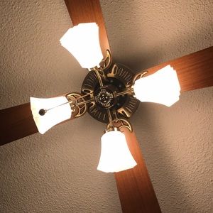 LOOKING FOR CUTE BLOUSES AND BIRKENSTOCKS CHEAPLY!